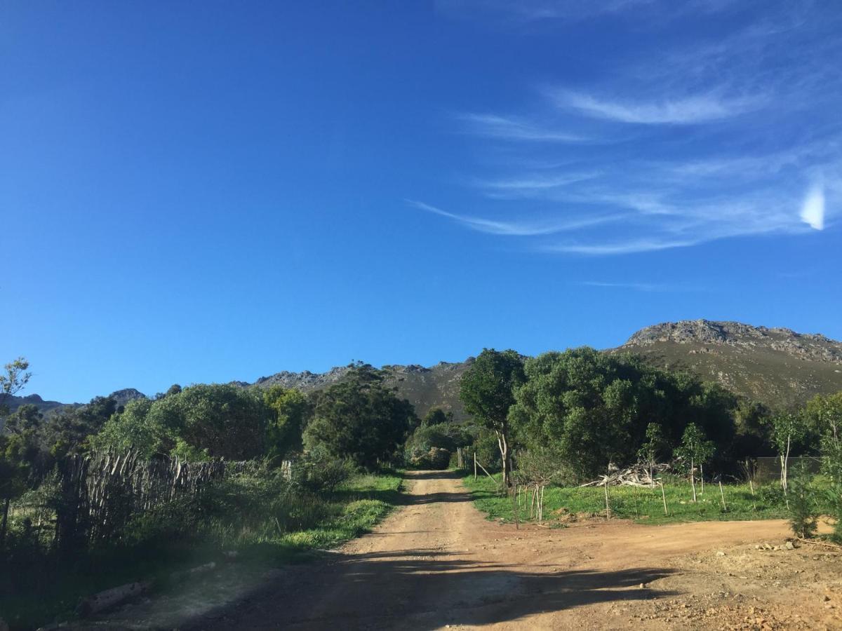 Watermill Studios Gordonʼs Bay エクステリア 写真