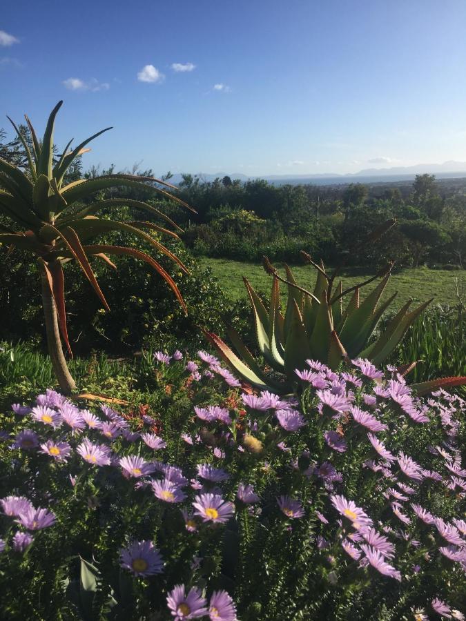 Watermill Studios Gordonʼs Bay エクステリア 写真