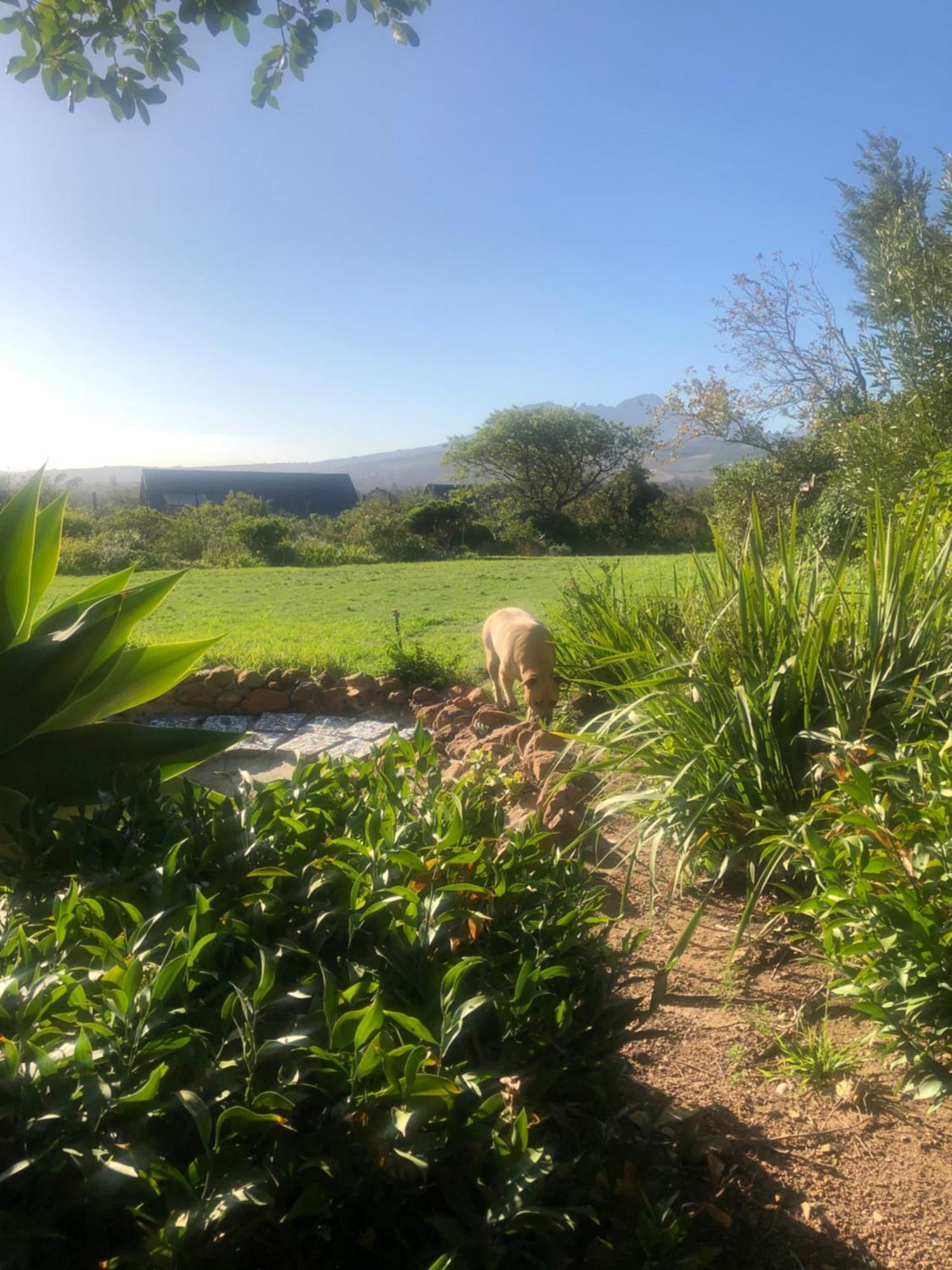 Watermill Studios Gordonʼs Bay エクステリア 写真